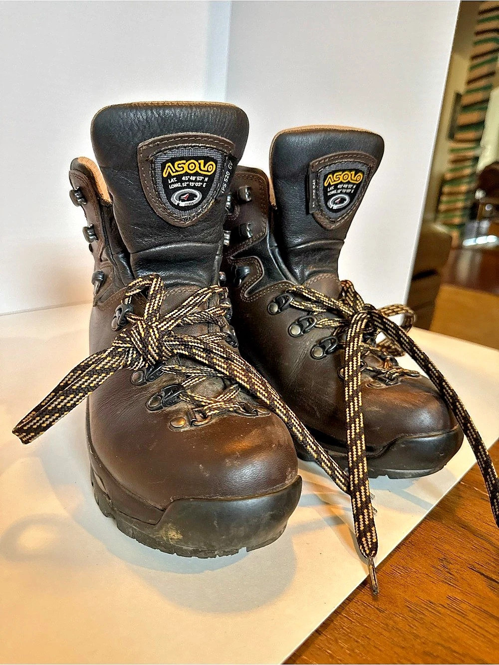 Asolo TPS 520 GV Evo Women's Brown Hiking Boots US 7